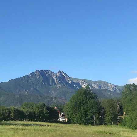 Camping Zakopane Willa Skoczek Oferta Nie Dotyczy Noclegu W Pokoju ,W Namiocie Reczniki Woda Mineralna , Koldra Poduszki Lub Spiwory Εξωτερικό φωτογραφία