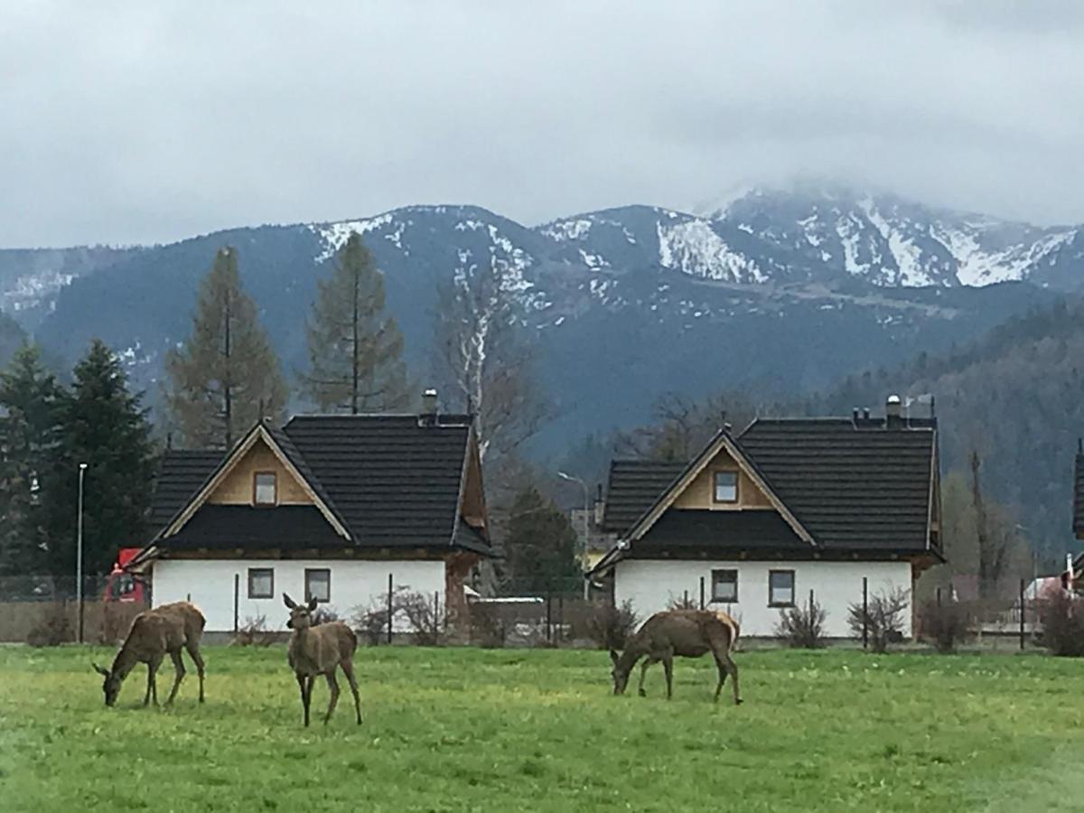 Camping Zakopane Willa Skoczek Oferta Nie Dotyczy Noclegu W Pokoju ,W Namiocie Reczniki Woda Mineralna , Koldra Poduszki Lub Spiwory Εξωτερικό φωτογραφία