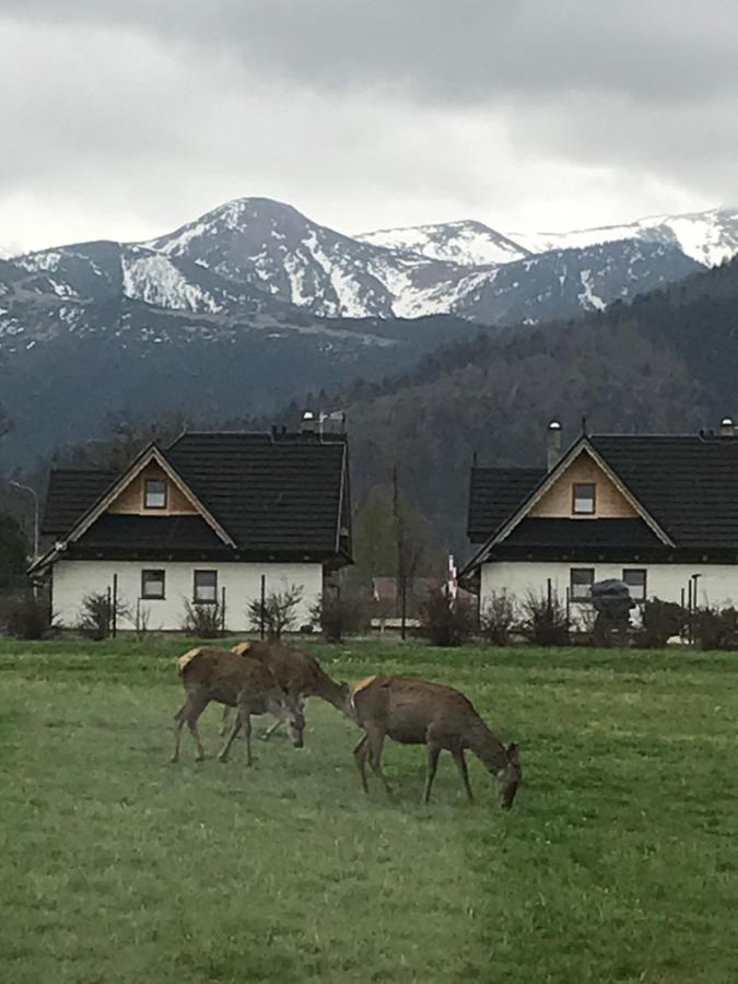 Camping Zakopane Willa Skoczek Oferta Nie Dotyczy Noclegu W Pokoju ,W Namiocie Reczniki Woda Mineralna , Koldra Poduszki Lub Spiwory Εξωτερικό φωτογραφία