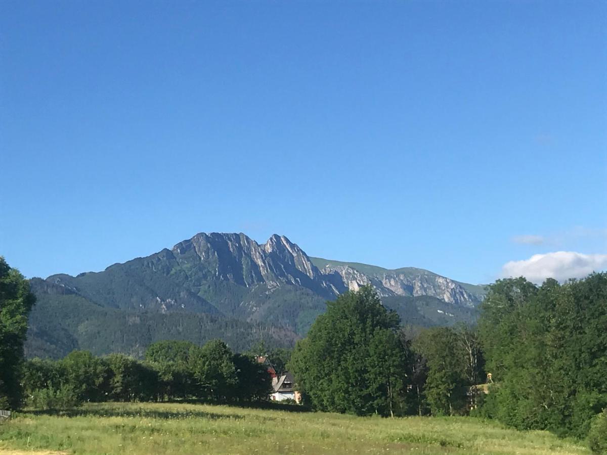 Camping Zakopane Willa Skoczek Oferta Nie Dotyczy Noclegu W Pokoju ,W Namiocie Reczniki Woda Mineralna , Koldra Poduszki Lub Spiwory Εξωτερικό φωτογραφία