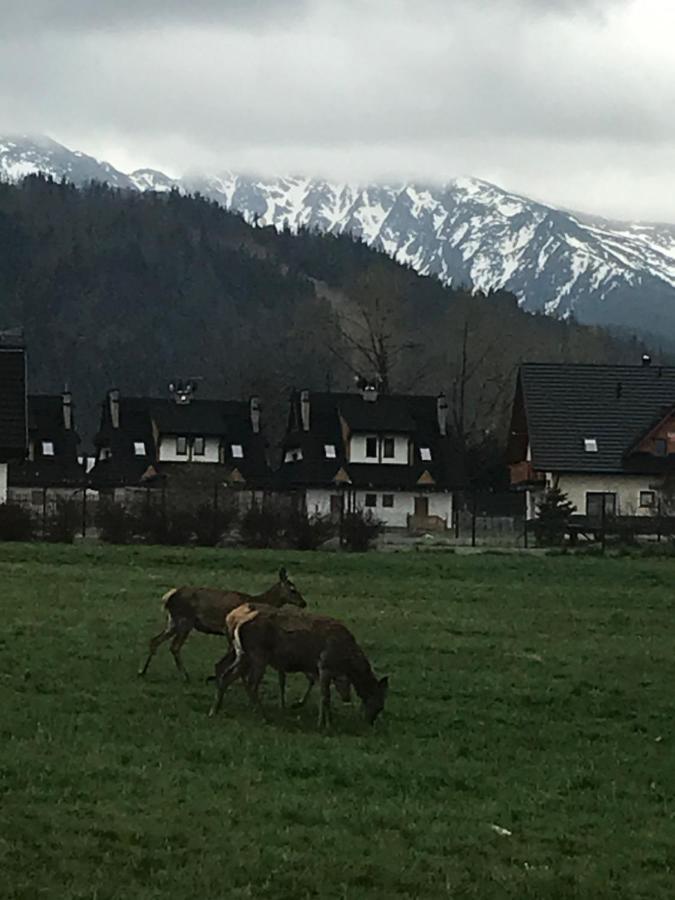 Camping Zakopane Willa Skoczek Oferta Nie Dotyczy Noclegu W Pokoju ,W Namiocie Reczniki Woda Mineralna , Koldra Poduszki Lub Spiwory Εξωτερικό φωτογραφία